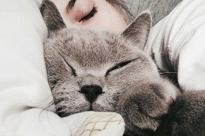 Спящий котик