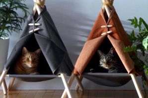 Домик для котят