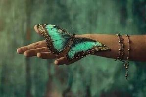 Бабочка на руке