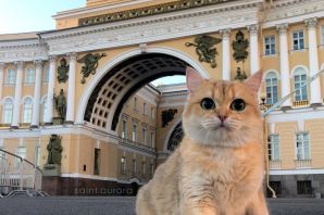 Эрмитажные коты