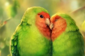 Милые птицы