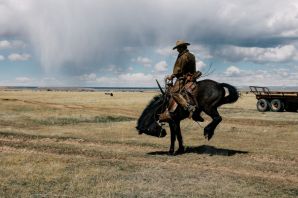 Ковбой на лошади