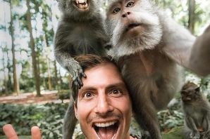 Селфи обезьяны