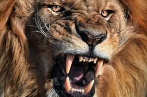Страшный лев