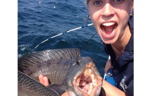 Рыба гаишник