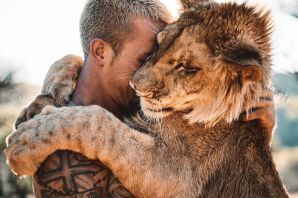 Лев на спине