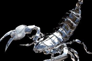 Жало скорпиона