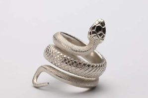 Кольцо змея