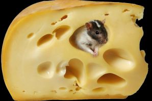 Мышка с сыром