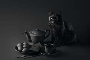 Кот за столом