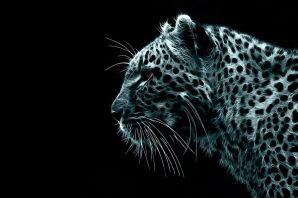 Белый ягуар