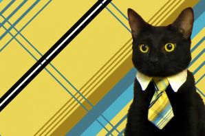 Кот в пальто