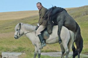 Мужик на коне