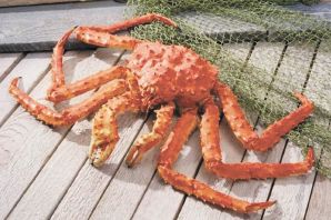 Дальневосточный краб