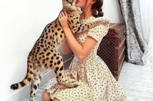 Кошка саванна и сервал