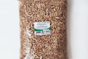 Байкальский гаммарус