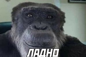 Обезьяна с телефоном