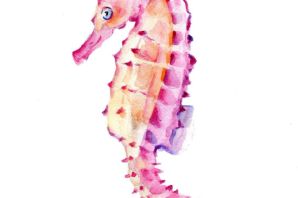 Морской конек