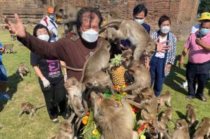 Толпа обезьян