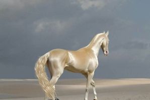 Белая металлическая лошадь
