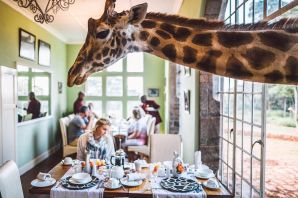 Жираф манор отель