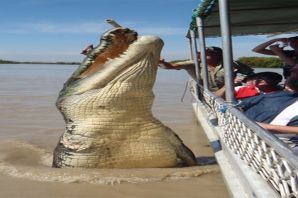 Самый длинный крокодил в мире