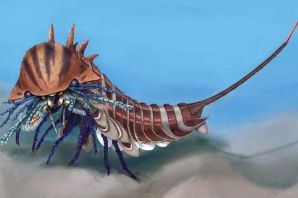 Морской скорпион
