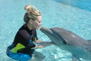 Дельфины и люди