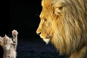 Лев и мышонок
