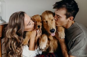 Семья с собакой
