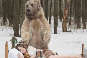 Верхом на медведе