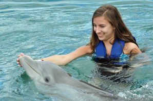 Центр плавания с дельфинами