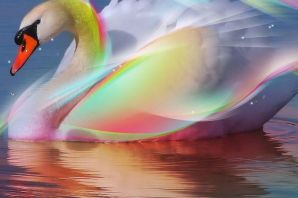 Разноцветные лебеди