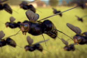 Домашние летучие муравьи