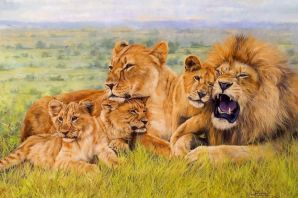 Лев львица и четыре львенка