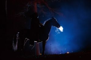 Конь ночью
