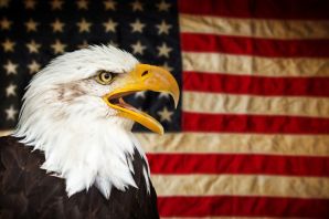 Символ америки белоголовый орлан