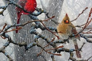 Птицы и животные зимой