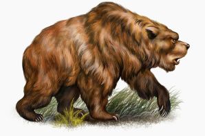 Предок медведя