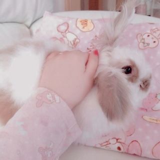 Розовая собака