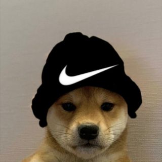 Собака фени