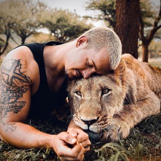 Лев и пчелка