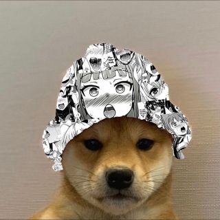 Снуп собака