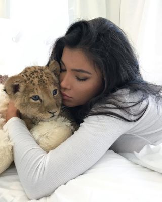 Солнечная львица
