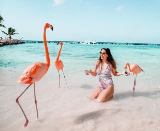 Кайо коко фламинго