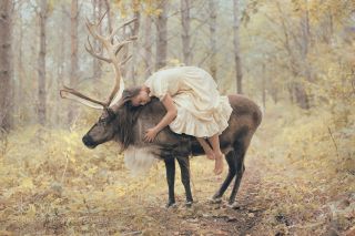 Лось с человеком