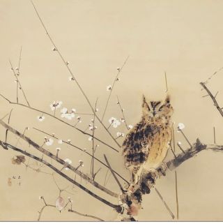 Японская сова