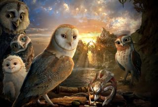 Ночные стражи совы