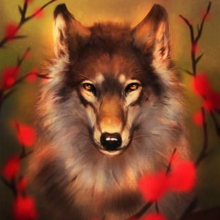 Волк с розой в зубах