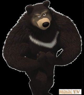 Медведь качок